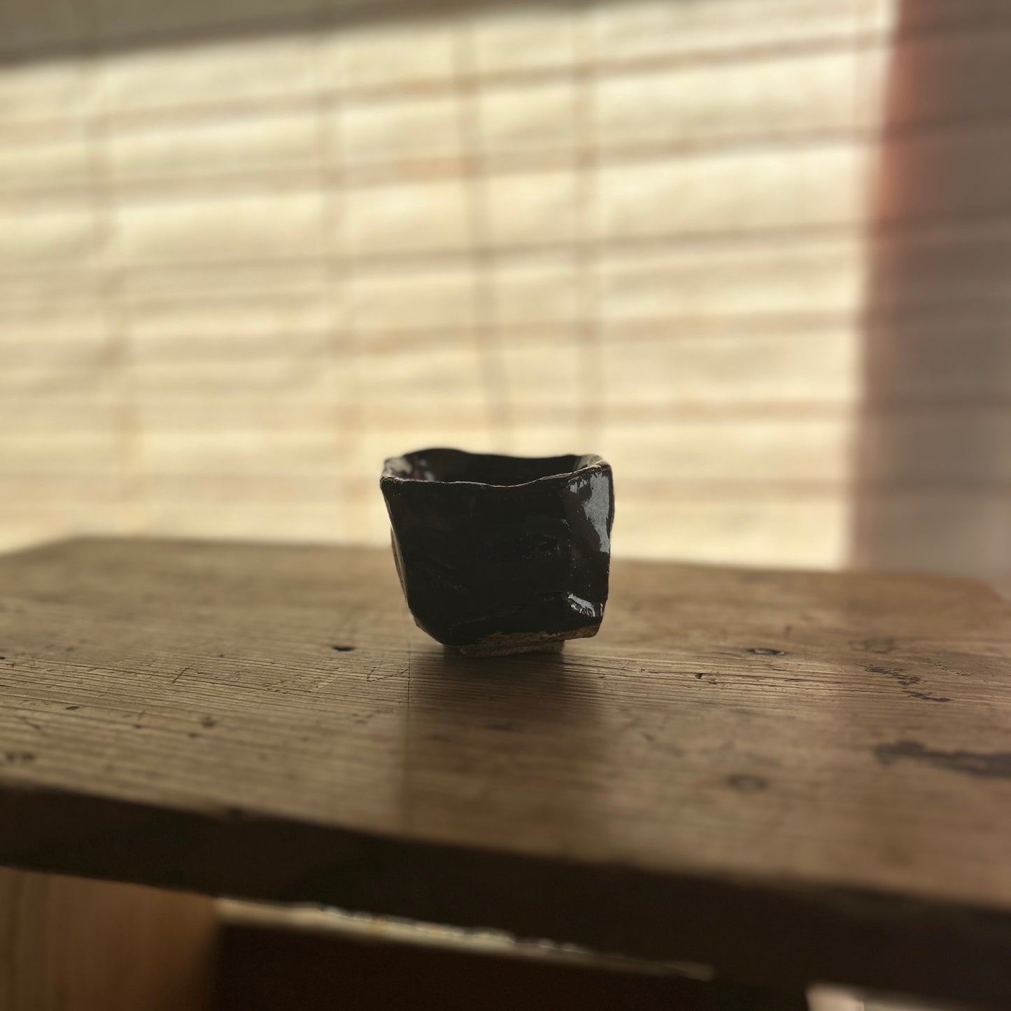Don Ricardo Ceramic Sake Cup with Dark Brown Tenmoku Glaze