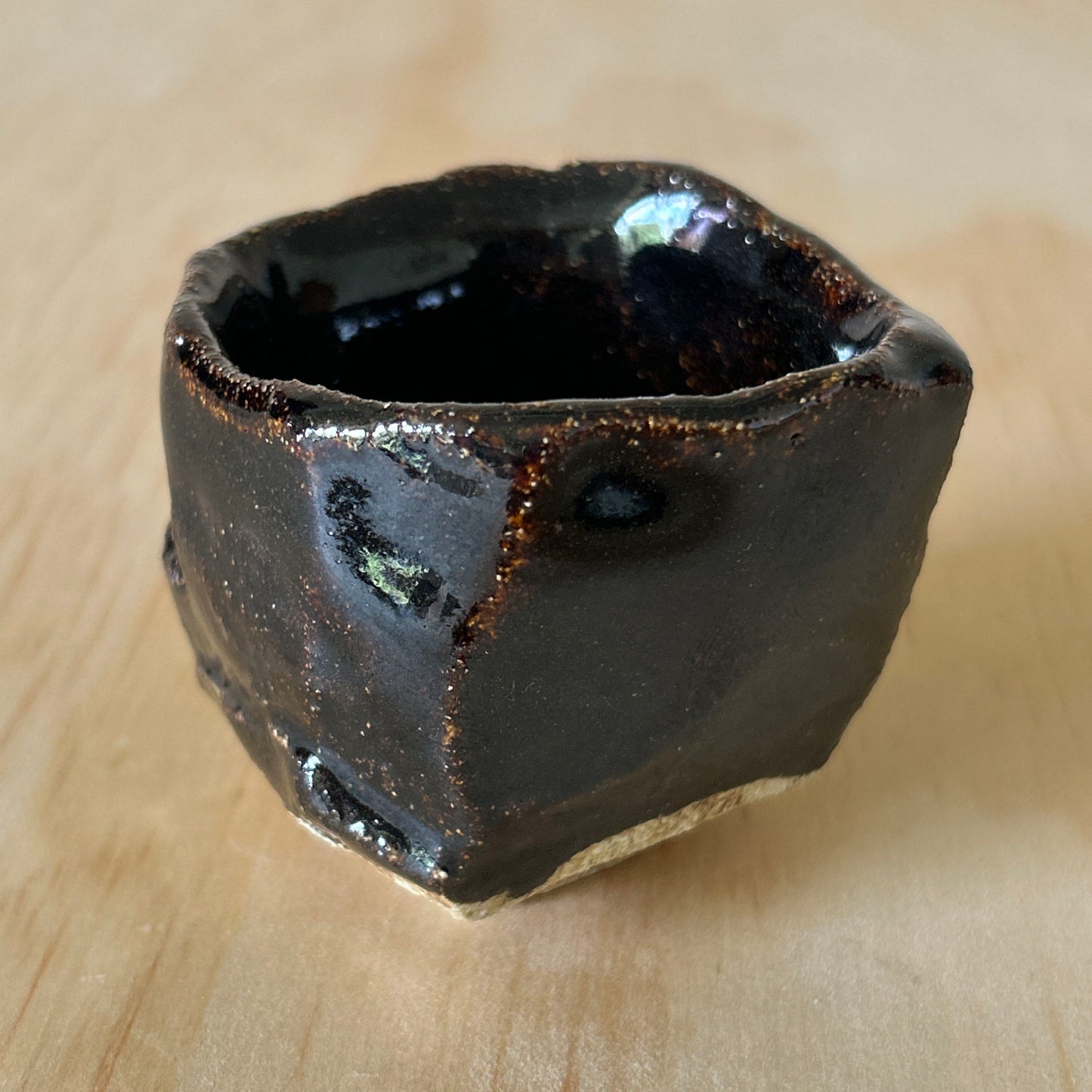 Don Ricardo Ceramic Sake Cup with Dark Brown Tenmoku Glaze