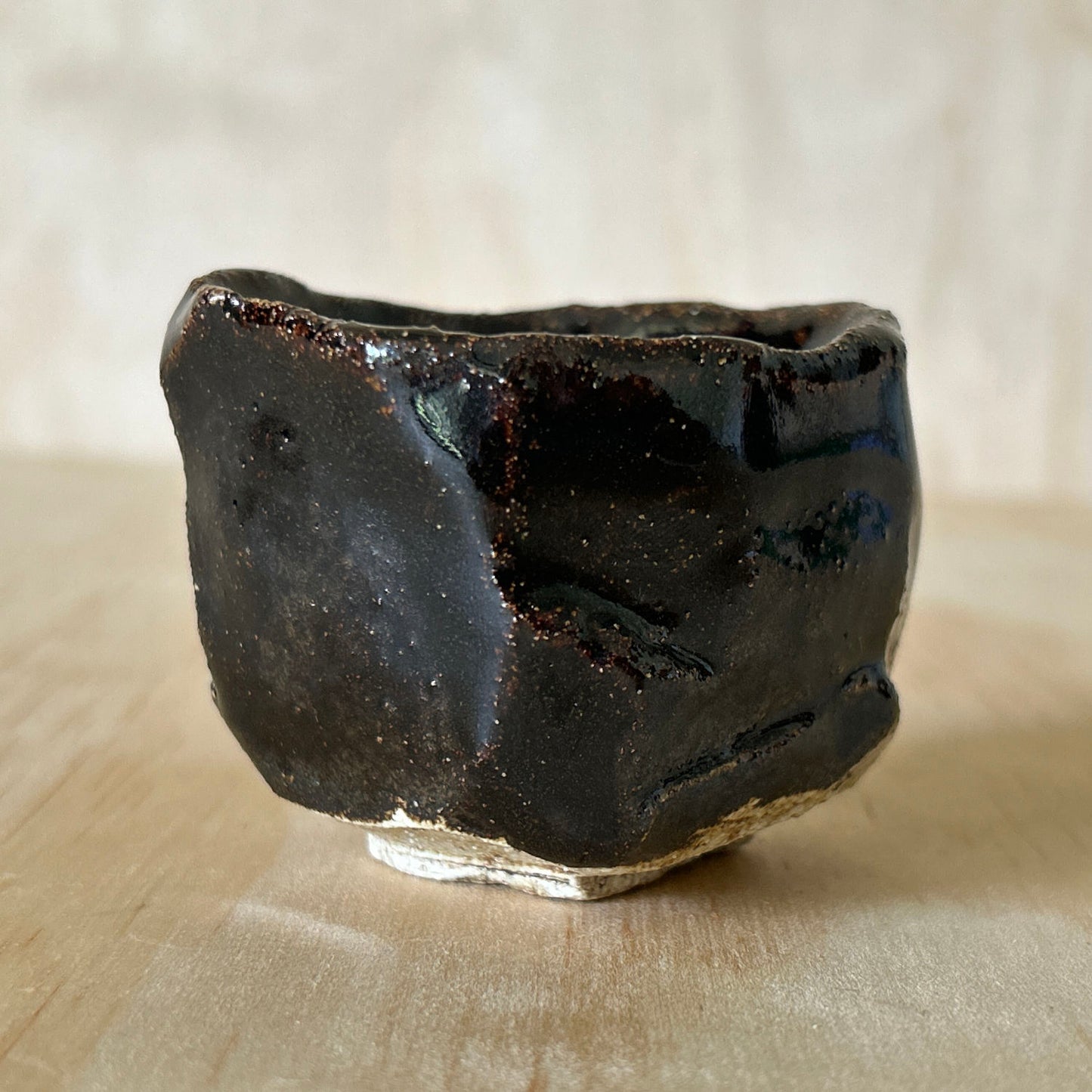 Don Ricardo Ceramic Sake Cup with Dark Brown Tenmoku Glaze