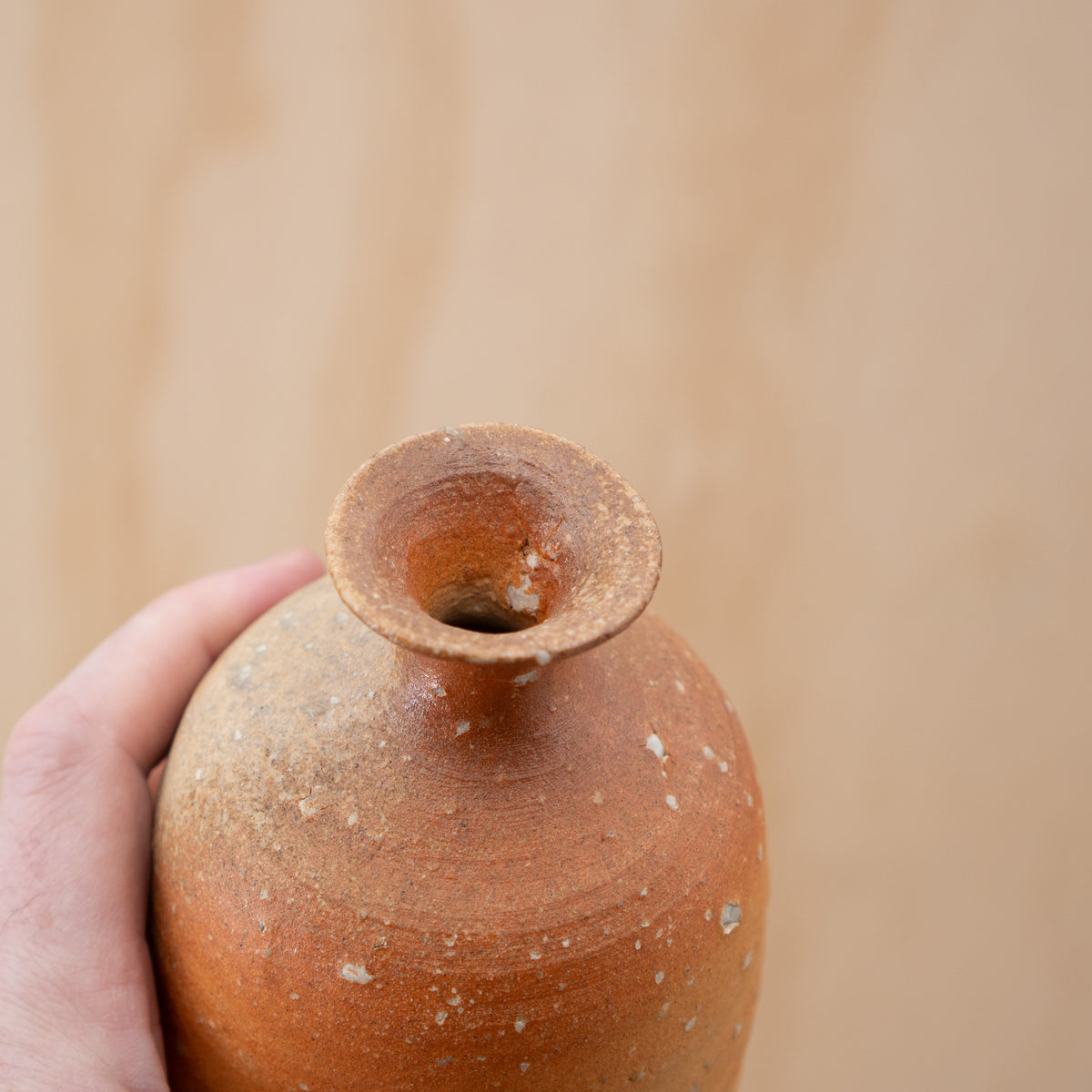 Vintage Japanese Shigaraki Tokkuri Bottle Vase