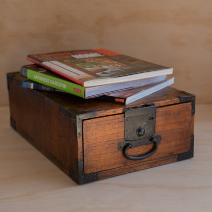 Antique Japanese Edo/Meiji Era Ko-Dansu Single Draw Document Box