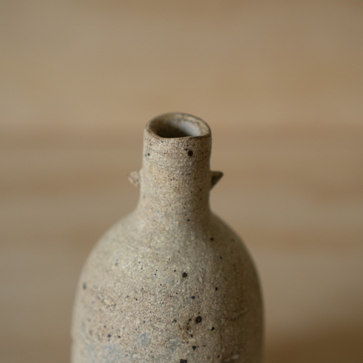 Contemporary Japanese Ceramic Horned Vase - 1