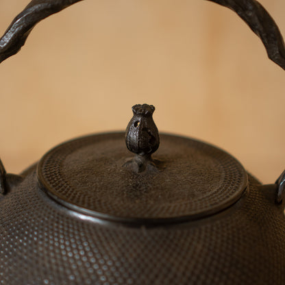 Vintage Japanese Iron Tetsubin Tea Kettle - Nambu Morioka