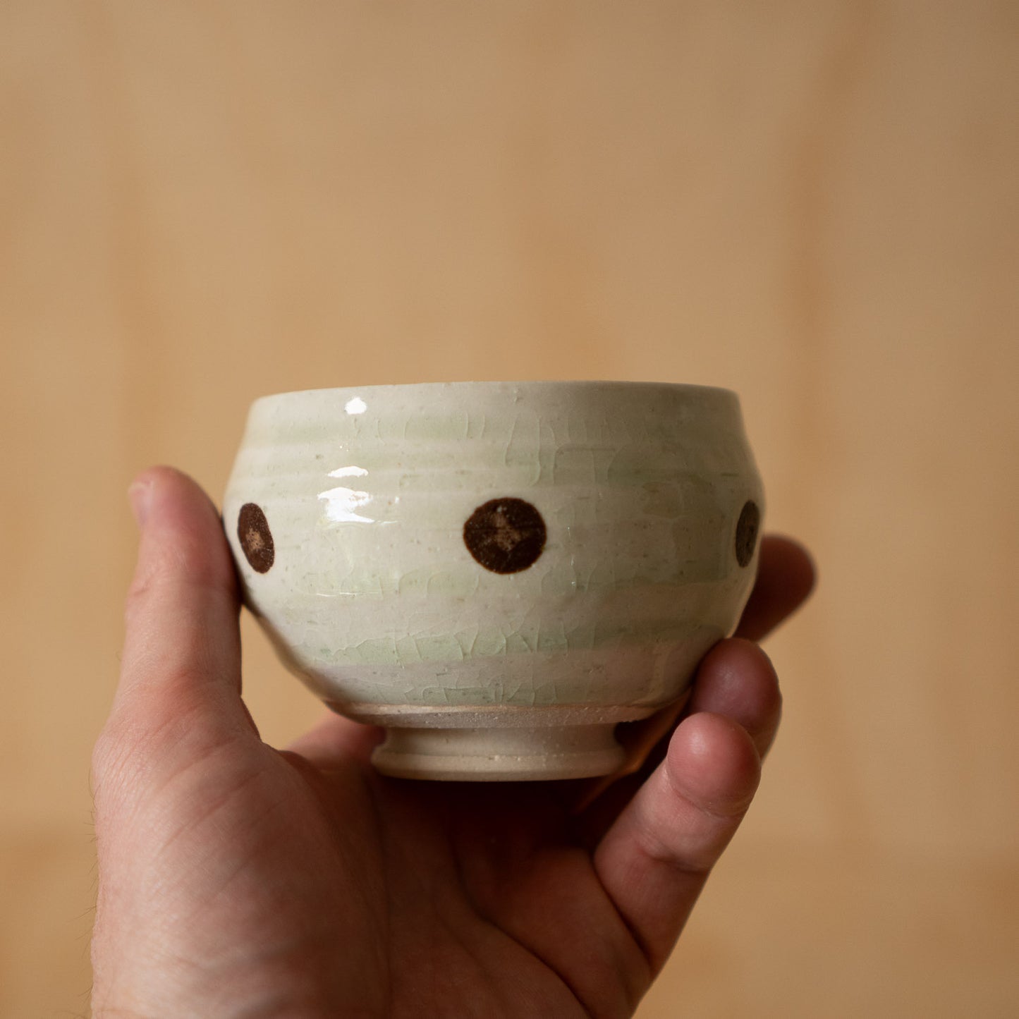 Japanese Suribachi Grinding Bowl Set with Sansho wood Pestle - Mint polkadot