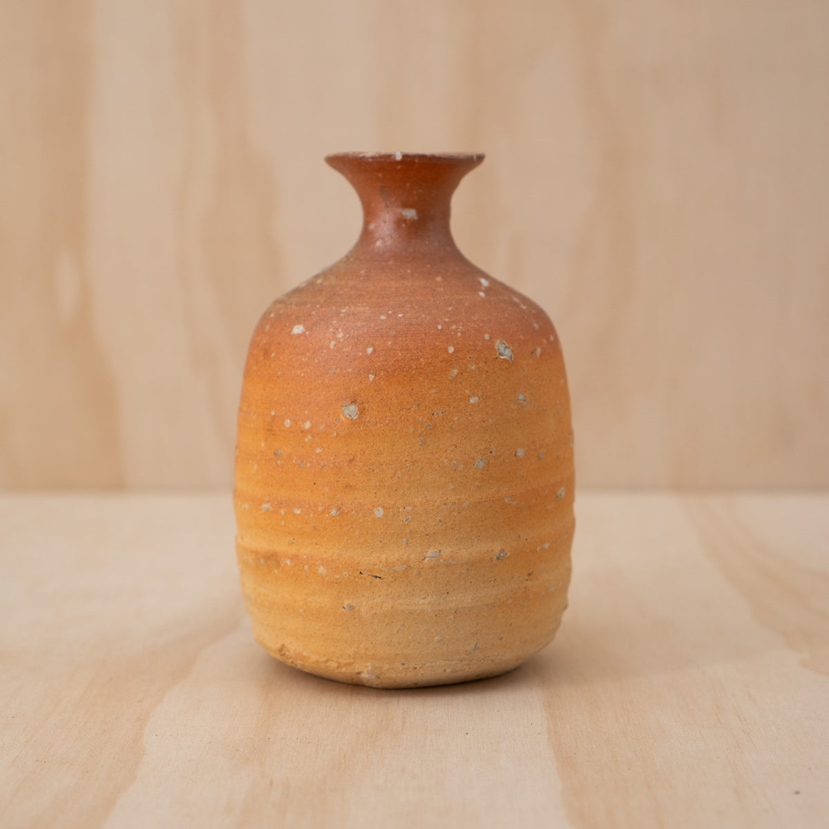 Vintage Japanese Shigaraki Tokkuri Bottle Vase