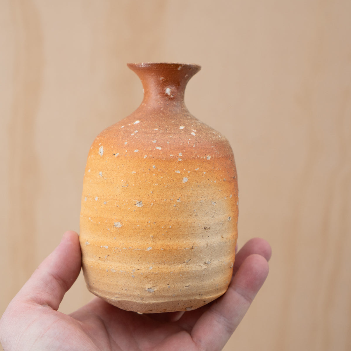 Vintage Japanese Shigaraki Tokkuri Bottle Vase